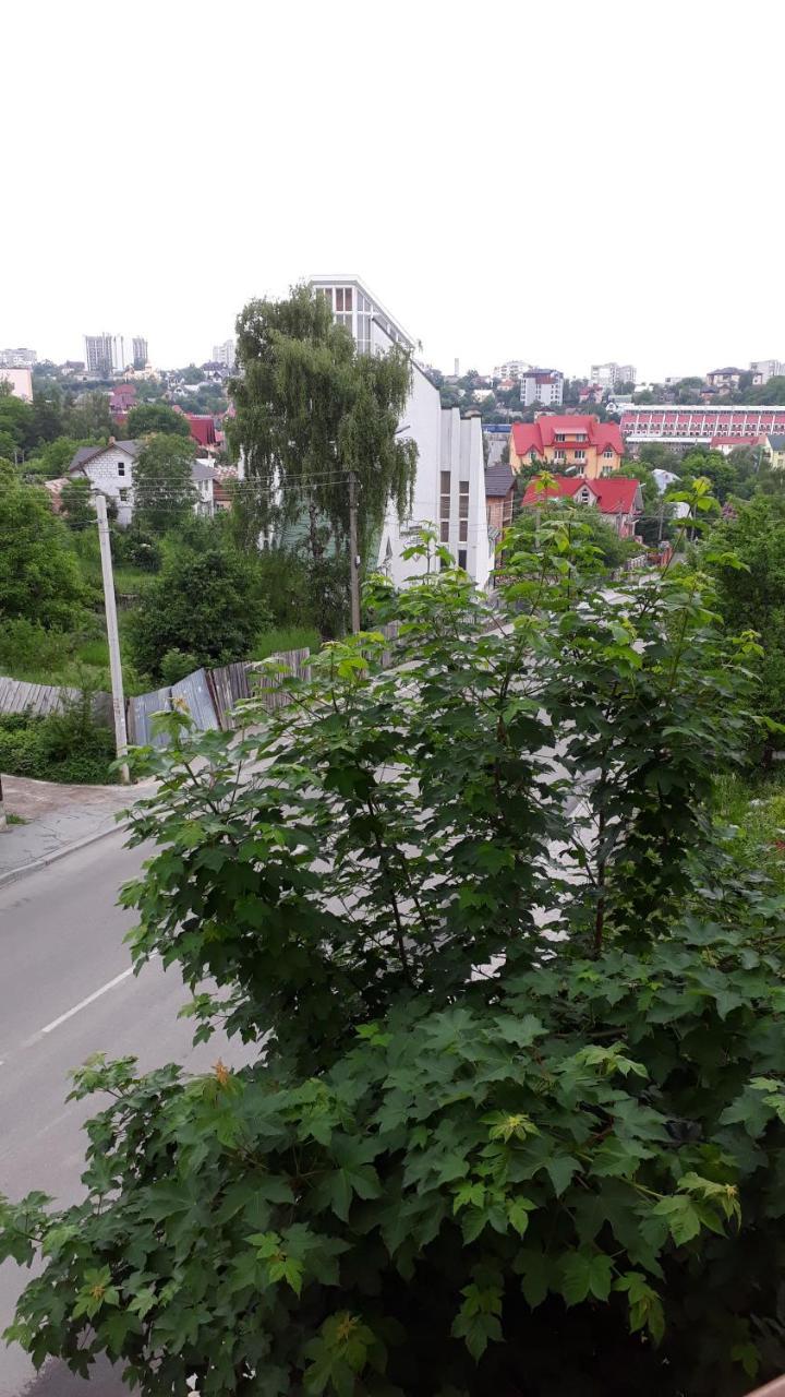 Truskavets Lux Apartment 外观 照片